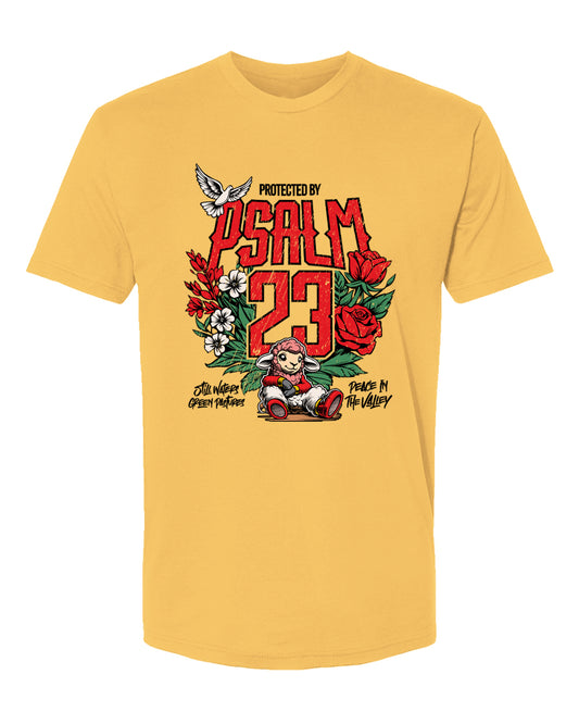 Protected by Psalm 23 Christian Streetwear T-Shirt – Faith & Scripture Graphic Tee